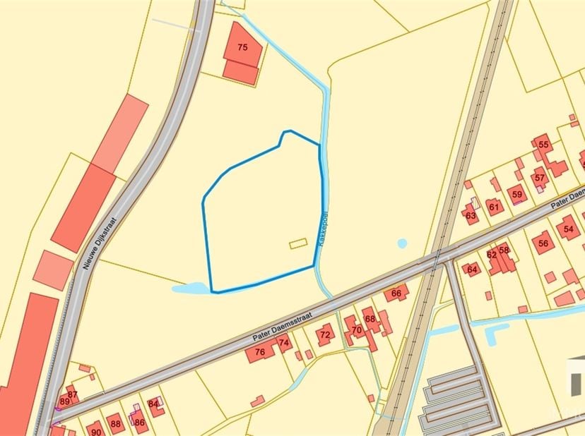 Een perceel weide, omheind en gelegen aan de Pater Daemsstraat in Schaffen (Diest).<br />
Totale oppervlakte: 81a.<br />
<br />
Het betreft een ing