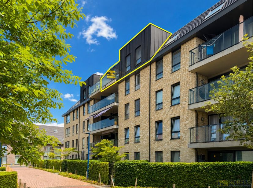 INSTAPKLAAR EN ENERGIEZUINIG APPARTEMENT, UITERST CENTRAAL GELEGEN in Oudenaarde en op WANDELAFSTAND van het STATION. Dankzij de NABIJHEID van de Grot