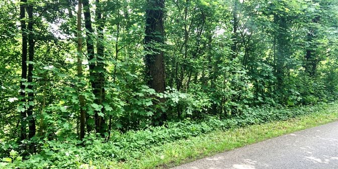 Grond te koop in Route de Boclinville, 6941 Bomal