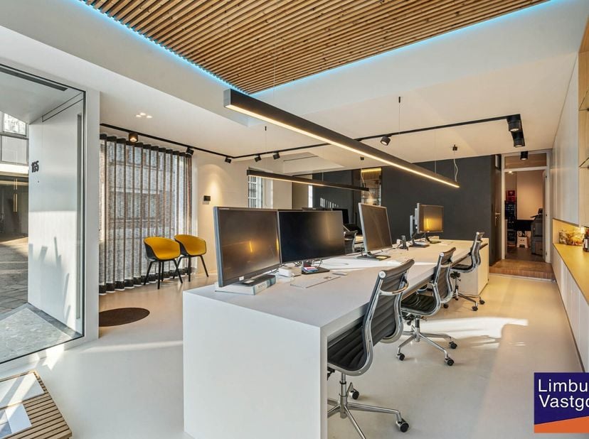 Bien professionnel à vendre
                    à 3500 Hasselt
