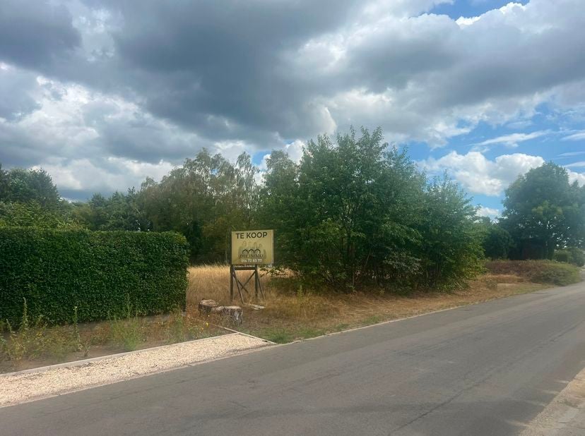 Terrain à vendre
                    à 2490 Balen