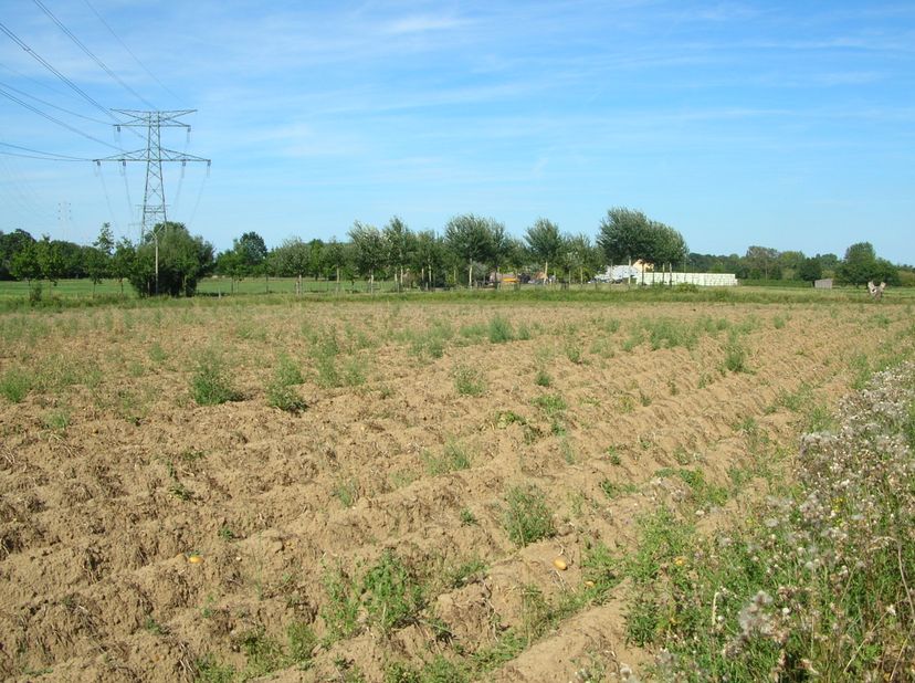Terrain agricole cadastral ZEMST E40F. Cultivé. Non loué, disponible gratuitement. Proche d'un centre équestre. Convient au pâturage pour chevaux. 509