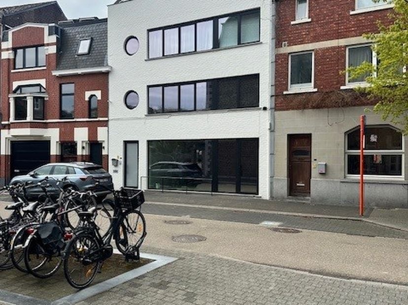 Handelspand dat kan gebruikt worden als winkel of kantoor.<br />
Gelegen in het Hasselt-centrum en zicht op museum Stellingwerf.<br />
Net gerenoveerd