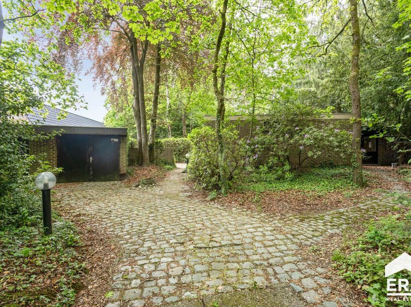 Maison à vendre
                    à 3920 Lommel