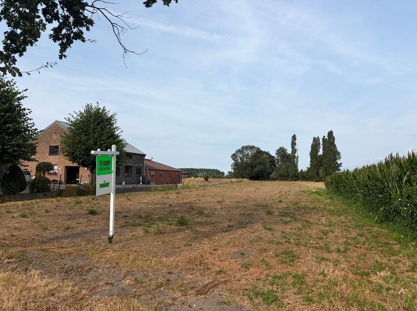 Deze bouwgrond is mogelijks samen aan te kopen met achterliggende landbouwgrond.<br />
Op dit lot bouwgrond van 882 vierkante meter heb je meer dan vo