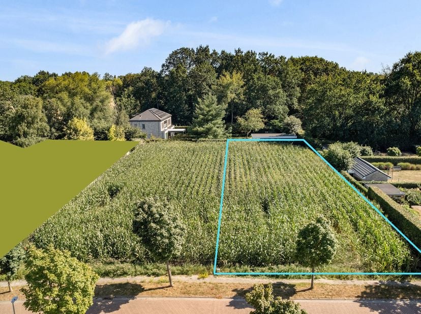 Op zoek naar een mooi perceel bouwgrond waar u uw eigen woning kunt realiseren? Deze bouwgrond van ca. 963 m² is bestemd voor het oprichten van een vr