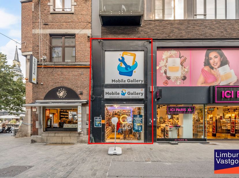 Bien professionnel à vendre
                    à 3500 Hasselt
