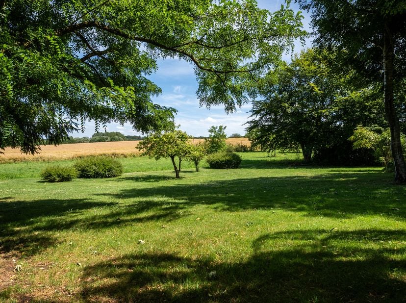 Braine-le-Château – Ravissante villa lumineuse offrant de beaux volumes (4CH/3SDB/GARAGE/CARPORT), implantée sur un magnifique terrain de 29a31ca avec