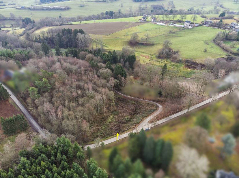 L'agence Antoine Immobilier de Stavelot vous présente cette belle parcelle d'une superficie de 2280m2, située dans le village de Haute-Bodeux (Trois-P