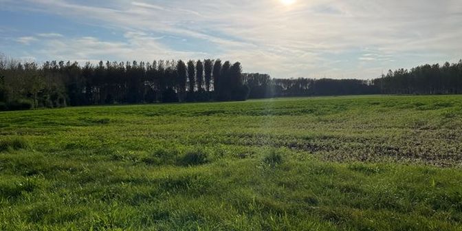 Grond te koop in Industriepark zn, 3545 Halen