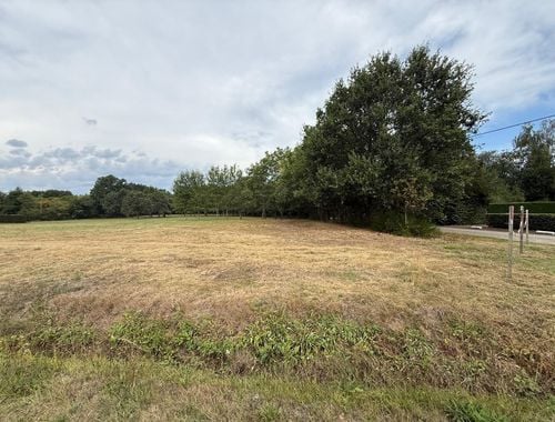                                         Bouwgrond te koop in Westerlo, € 220.000
