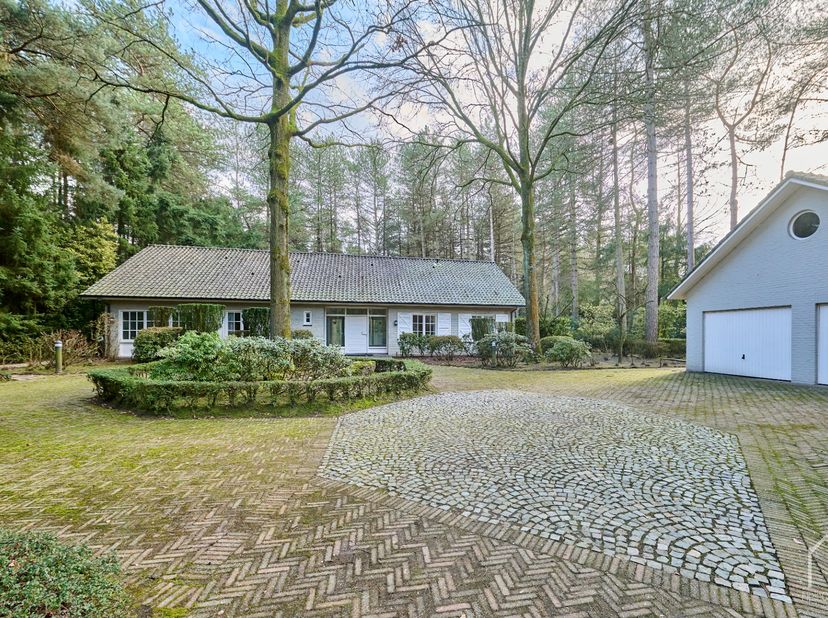 Maison à vendre
                    à 3910 Neerpelt