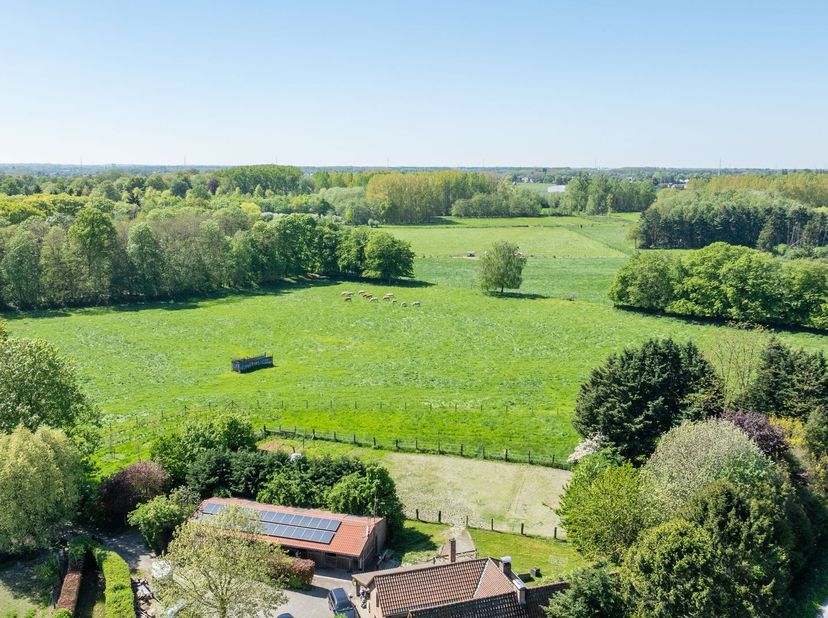 Uniek vastgoed in Zemst een zeldzame kans voor wie droomt van rust, ruimte en het buitenleven. Deze open bebouwing is gelegen op een uitzonderlijk per