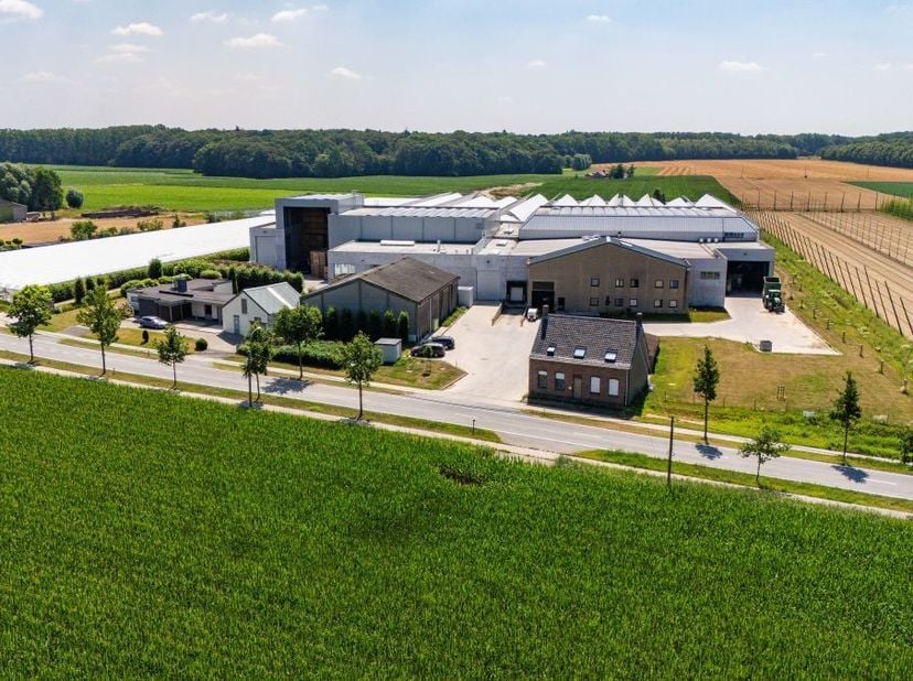 Tuinbouwbedrijf te koop gelegen te Poperinge gespecialiseerd in witloof, met daarnaast aardbeienteelt.<br />
Nieuwe witloofloods (bouwjaar 2020), gebo