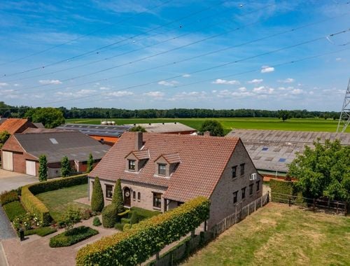                             Ferme à vendre à Kinrooi
