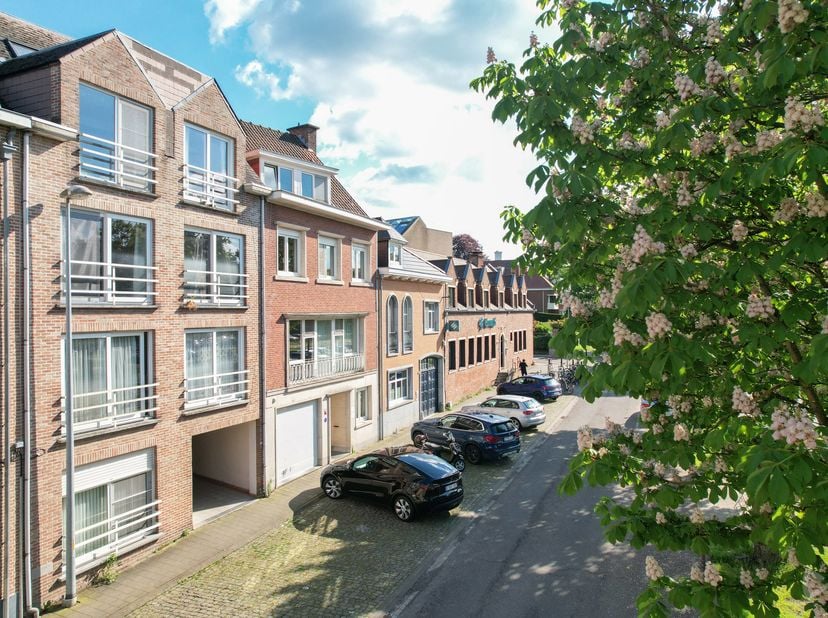 Ce studio confortable à Heverlee est l'opportunité idéale pour ceux qui recherchent des investissements intelligents ou une vie abordable dans un empl