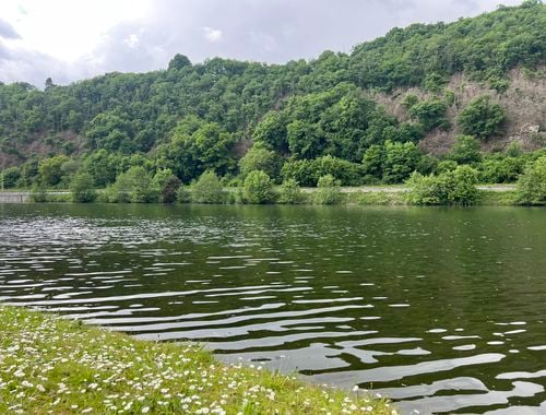                                         Bouwgrond te koop in Hastière-par-Delà, € 99.000
