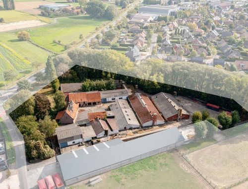                             Ferme à vendre à Bavikhove
