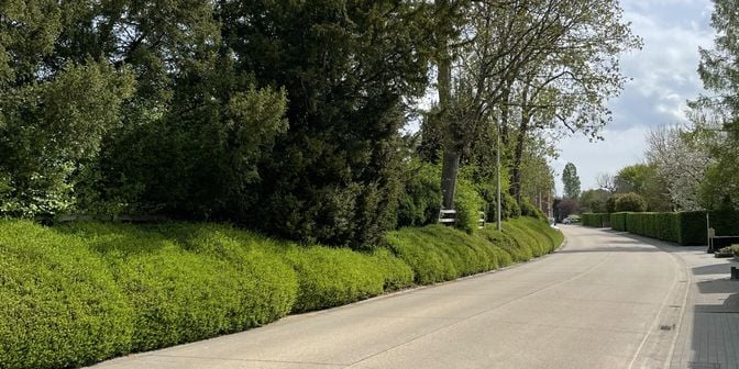 Grond te koop in Appeystraat 5, 3830 Wellen
