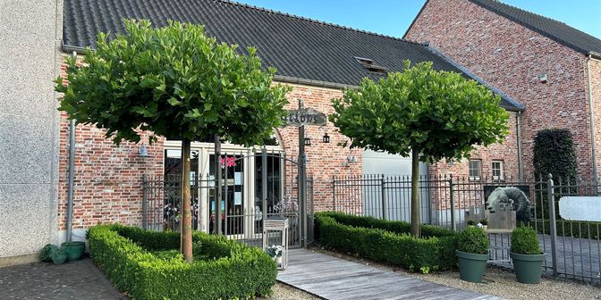 Bedrijfsvastgoed te huur in Vlasroot 19, 3930 Hamont