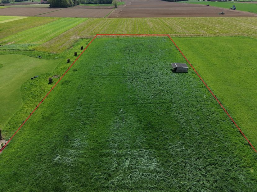 Cette magnifique prairie est située à la lisière d'Asse (Asse-Ter-Heide) et d'Affligem, le long d'une route goudronnée calme mais facilement accessibl