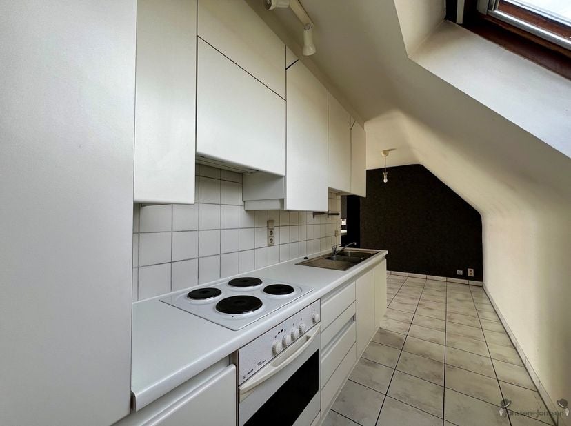 Cet appartement d'une chambre de 56 m² à Termonde est situé dans un complexe résidentiel bien entretenu, à deux pas du centre-ville.<br />
Le salon ou