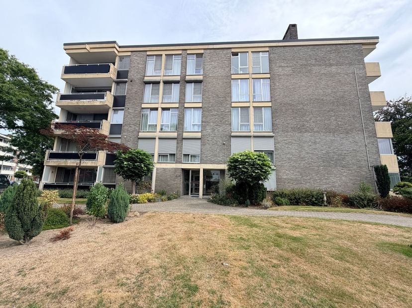 Appartement te huur in Van Eycklaan 99 bus 13,
                    3680 Maaseik