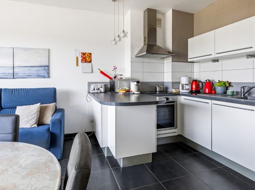 De Panne: Gerenoveerde studio met open zicht op enkele stappen van zee! Op zoek naar een instapklaar appartement aan de Belgische kust? Deze grotendee