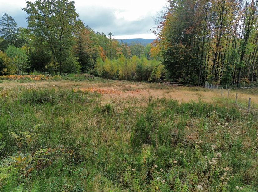 Terrain de ± 2.078m² :<br />
- Terrain borné : 2 bornes<br />
- Façade à rue : ±47,39m,<br />
- Façade arrière : ±40,08m,<br />
- Profondeur moyenne :