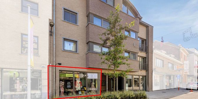Bien professionnel à vendre à Lavendelstraat 14, 9400 Ninove