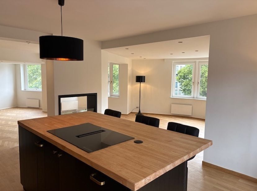 Nabij Montgomery. Licht en volledig gerenoveerd appartement van 179 m² (EPC). Ruime leefruimte van 85 m² (met vrij uitzicht) en een volledig uitgerust