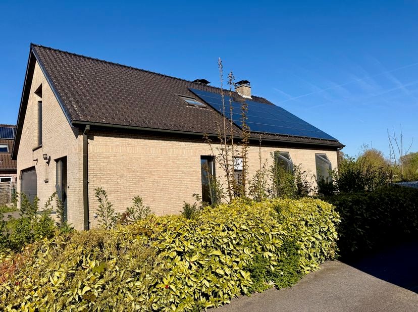 Maison à vendre
                    à 9770 Kruishoutem