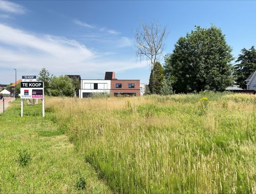                                         Bouwgrond te koop in Baardegem, € 184.000
