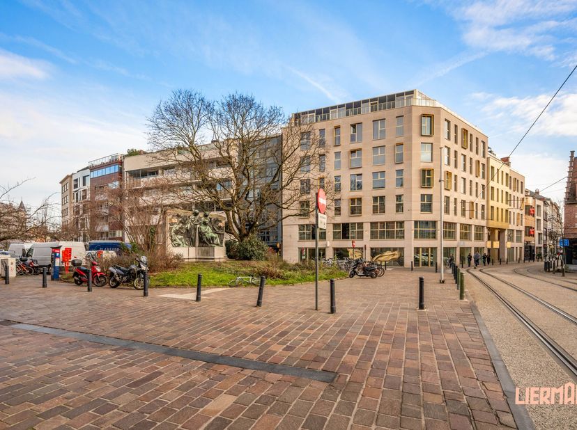 Bien professionnel à vendre
                    à 9000 Gent