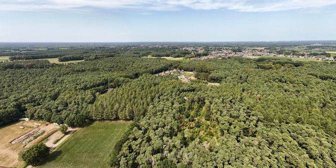 Grond te koop in Sassenhout, 2290 Vorselaar