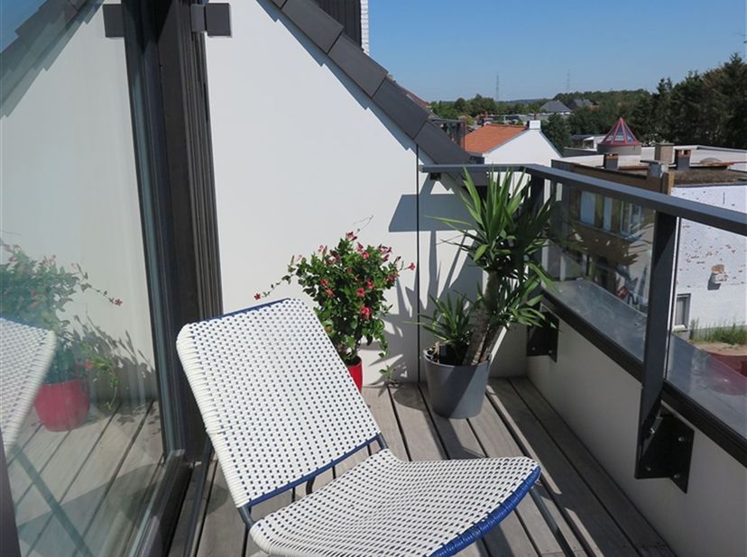 Appartement à louer
                    à 9940 Sleidinge
