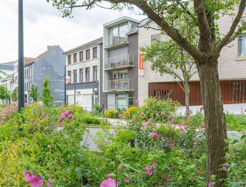                                         Appartement à louer à Gent, € 900
