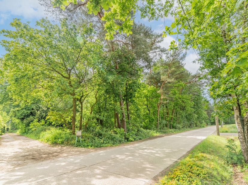 Te Koop: bosperceel<br />
<br />
Dit bosperceel van 5.810m² is nu beschikbaar voor verkoop.<br />
<br />
Kenmerken van het perceel:<br />
<br />
Locat