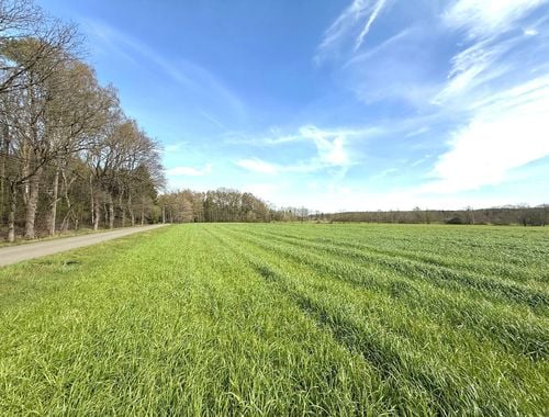                                         Grond te koop in Tessenderlo, € 1.637.880
