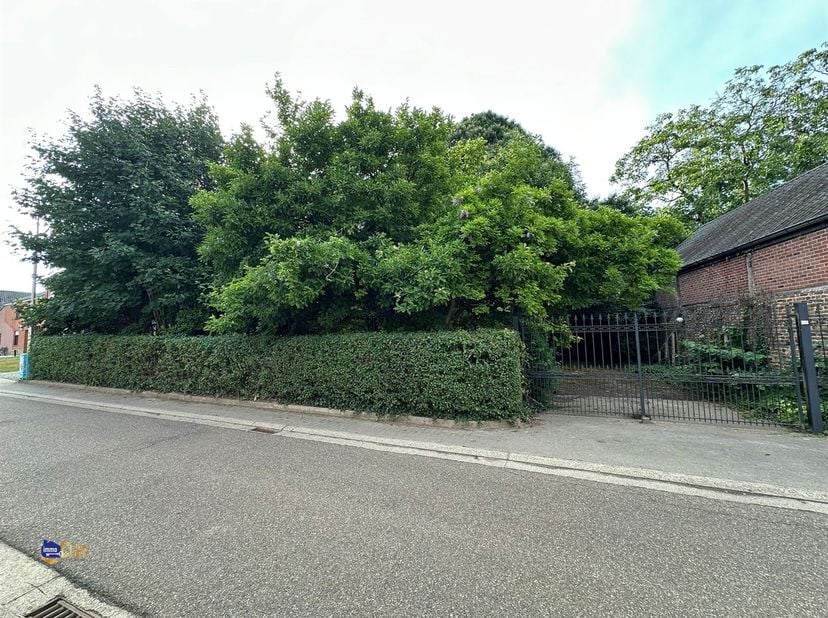 Projectgrond te koop in het dorpscentrum van Borlo. Het perceel is op het gewestplan ingekleurd als bouwgrond voor 1 open bebouwing of voor 2 halfopen