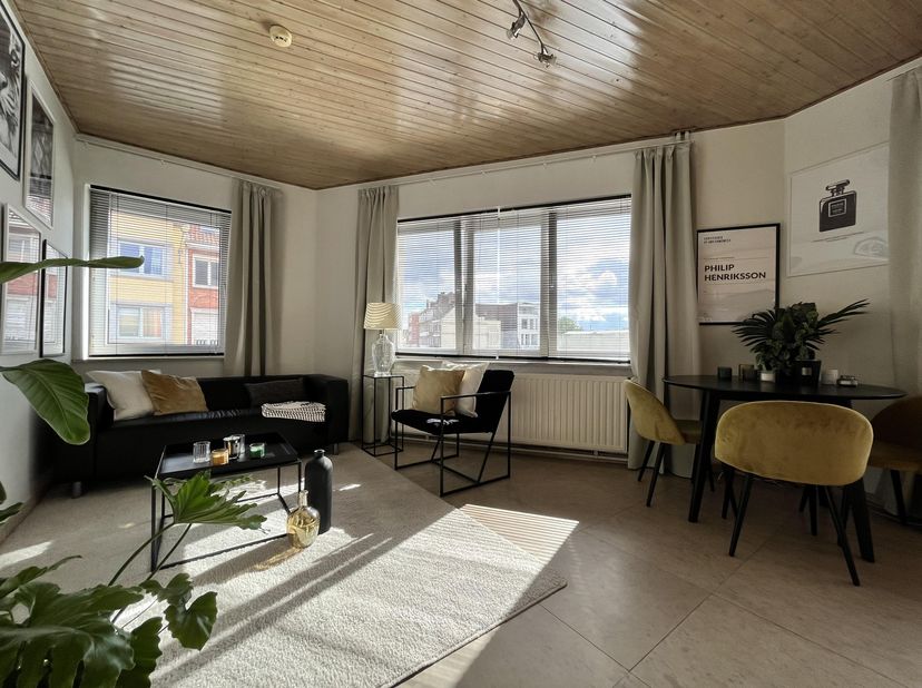 Deze lichtrijke studio beschikt over een gezellige leefruimte met veel natuurlijke lichtinval, een badkamer met wastafel en douche, en een aanpalende