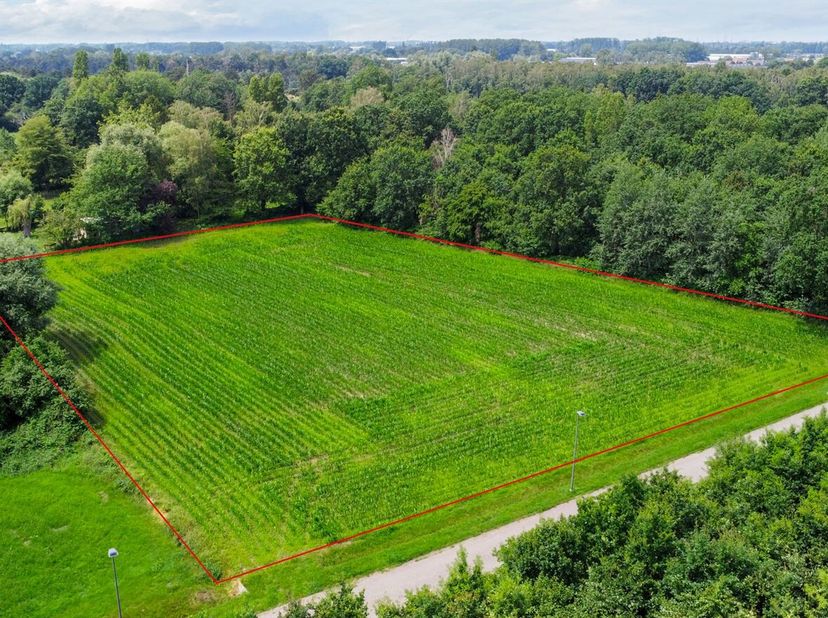 Bosgrond te koop in Duffel 6.413 m²<br />
Goed gelegen perceel met een oppervlakte van 6.413 m², gelegen in het landelijke Duffel. Deze grond biedt ta