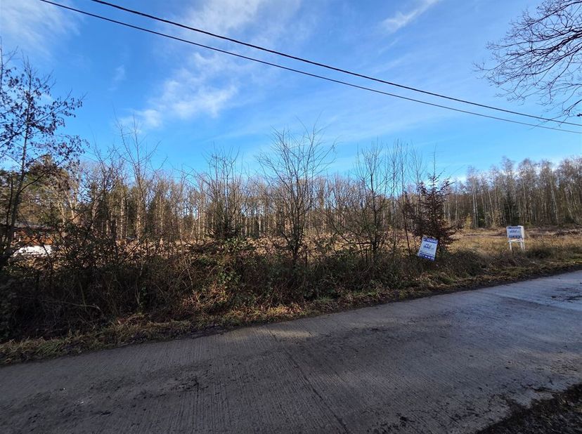 IMMOHALI verkoopt een BOUWGROND voor tweede verblijf te Erezée  Soy  Rue des sapins lot 131<br />
op 1.999 m² plat perceel deels bebost met loofbomen