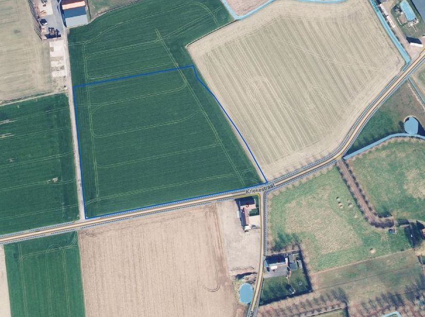 Grond te koop in Kriekestraat,
                    8740 Pittem