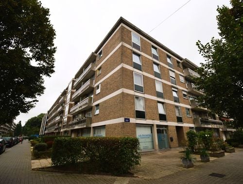                                         Handelsgelijkvloers te koop in Sint-Jans-Molenbeek, € 195.000
