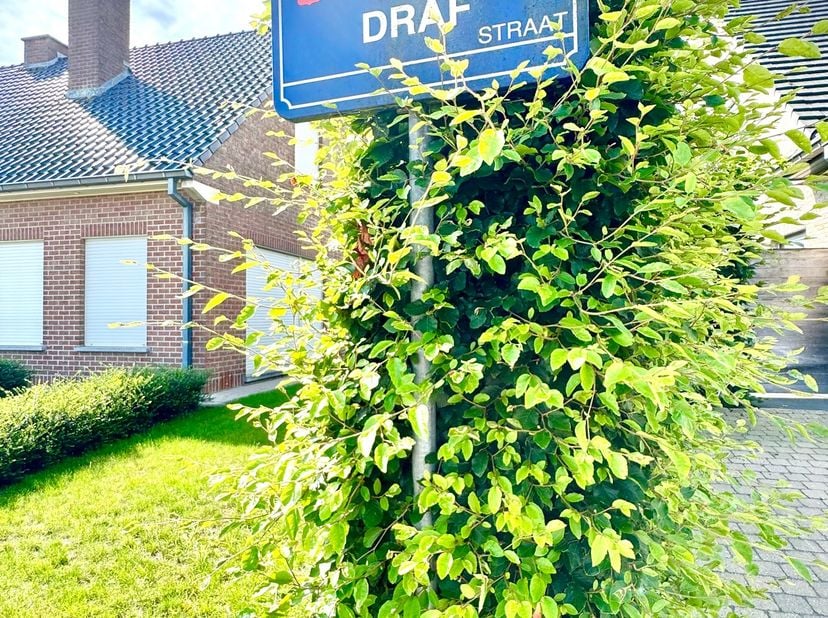 Maison à vendre
                    à 8790 Waregem
