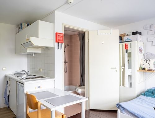                                         Studio à louer à Leuven, € 595
