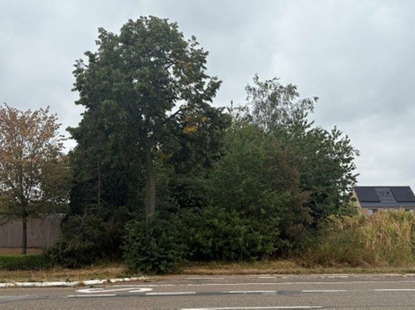 Terrain à vendre
                    à 3650 Elen