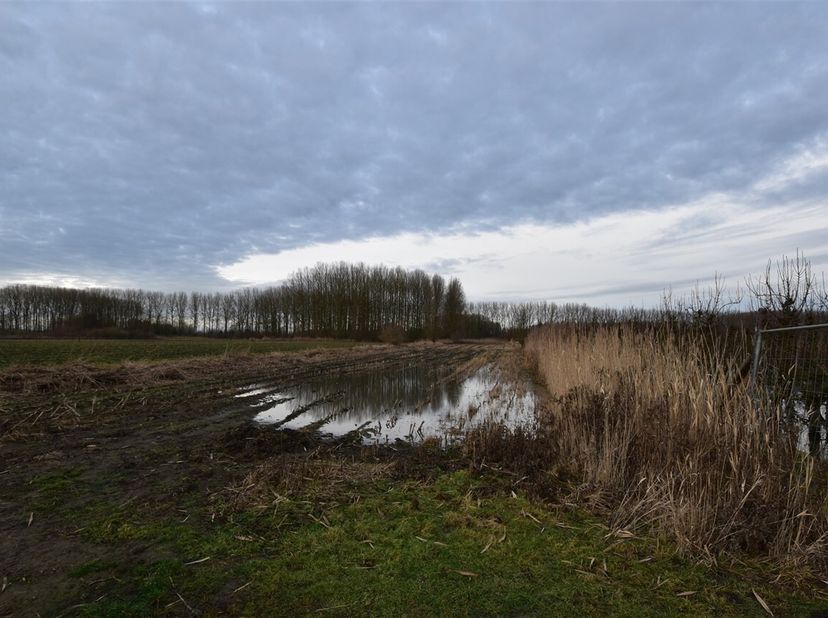 Langs de Koning Albertdijk in Moerzeke wordt deze landbouwgrond van 4.858 m² in een doodlopende straat te koop aangeboden.<br />
Het perceel is moment
