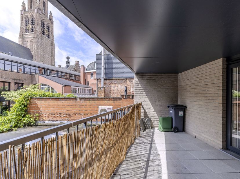Dit ruime appartement ligt op een steenworp van de levendige Vrijheid, maar schenkt veel rust binnen.<br />
Indeling:<br />
- Inkomhal<br />
- Gastent